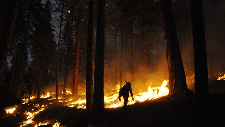 In just a week, wildfires burn 10 lakh acres in California
