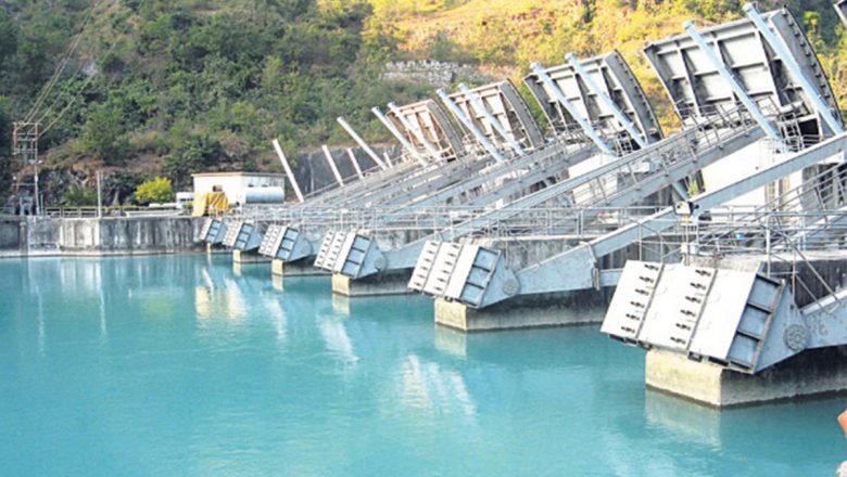 सुनको अण्डा पार्ने कुखुरा सरह हाइड्रोको सेयर, यी कम्पनीको सेयर किन्दा मालामाल