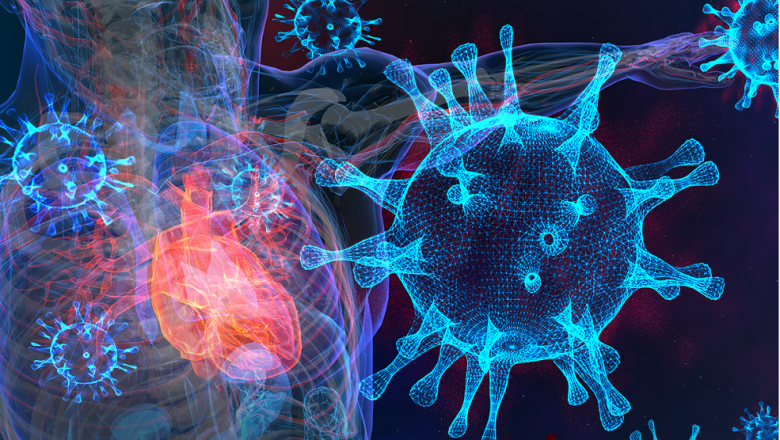 थप ४४९९ जनामा कोरोना संक्रमण पुष्टि, संक्रमितको संख्या डेढ लाख नाघ्यो
