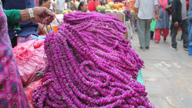यस वर्ष तनहुँमा तिहारका लागि यस्तो छ सुरक्षा व्यवस्था, देउसीभैलो खेल्न मनाही