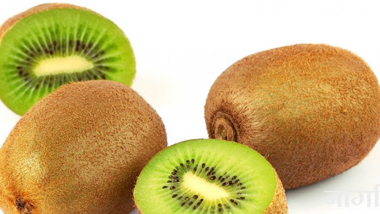 किसान उत्साहित ,तीन वर्षमै फल्यो किबी