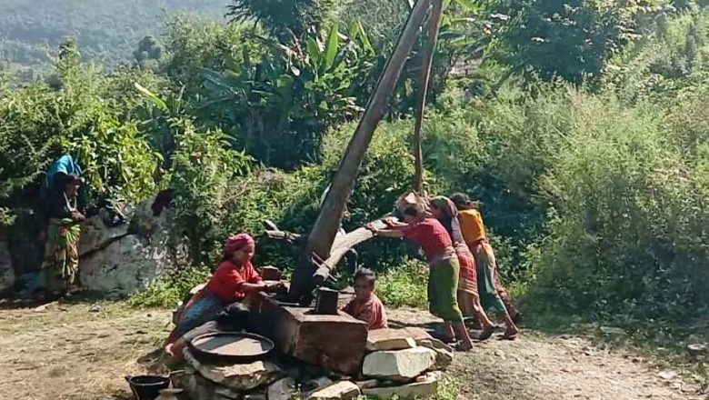 शुद्ध तेलका लागि कोलुको प्रयोग