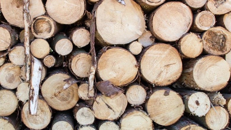 शुक्लाफाँटा नगरपालिकामा १८ गोलिया खयरको काठ बरामद