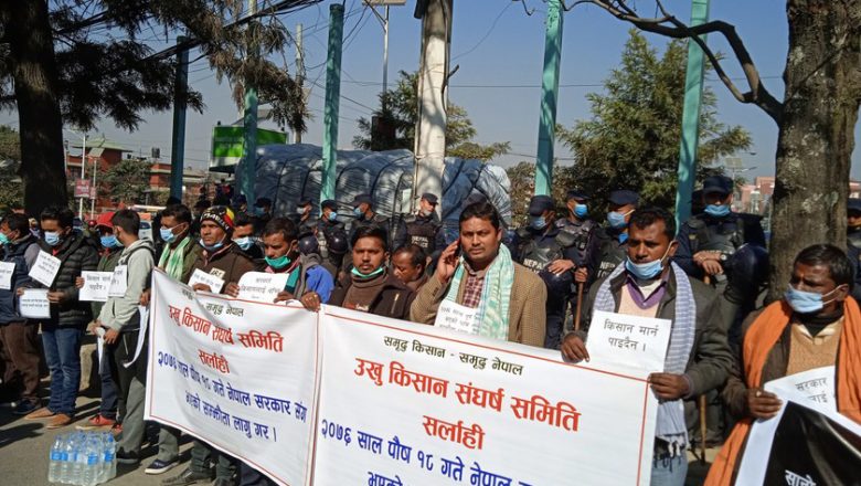 प्रदेश २ सरकारले उखु किसानलाई ठग्यो : लोकदल