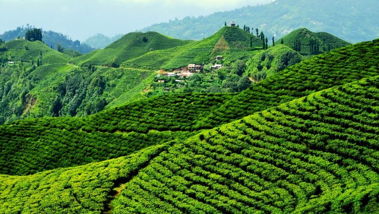 इलामका पर्यटकीय क्षेत्रमा आन्तरिक पर्यटकको चहलपहल