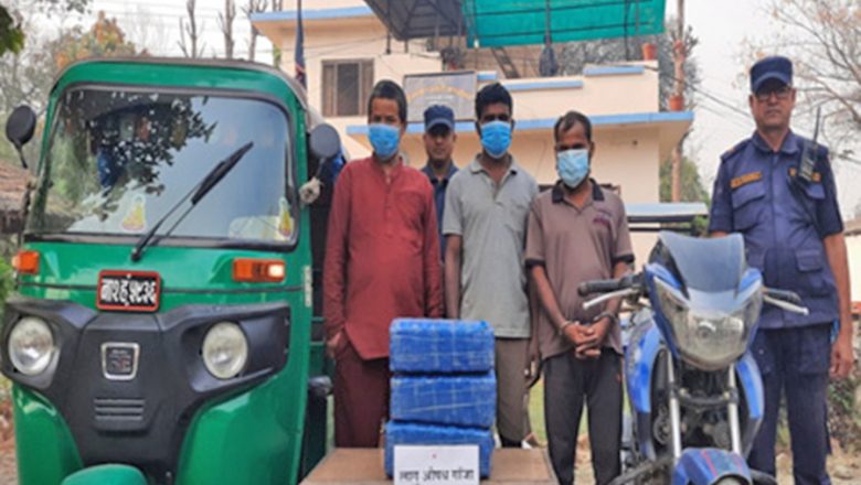 लालबन्दीमा फेरि अटोबाट गाँजा बरामद, ३ जना पक्राउ