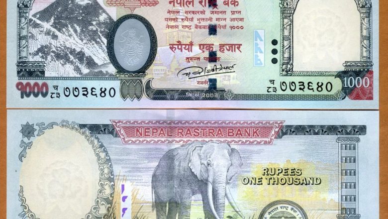 कीर्तिपुरमा नक्कली नोट छाप्ने प्रिन्टरसहित दुईजना पक्राउ, ५ सय र हजारका नक्कली नोट बरामद