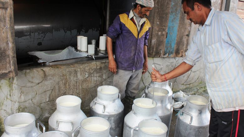 दुग्ध संस्थानले रोक्यो साढे चार महिनादेखि हजारौं किसानको दुधको पैसा