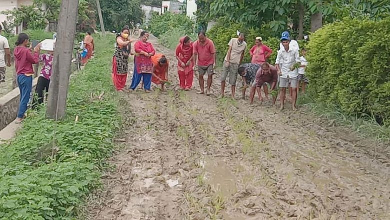कालोपत्रे माग गर्दै धनगढीमा स्थानीयले गरे सडकमै रोपाईं