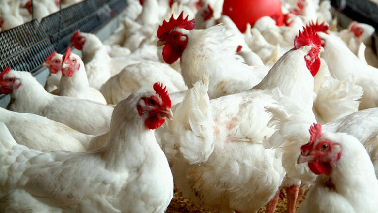 जेठसम्म एक खर्ब ४८ अर्ब पुनर्कर्जा स्वीकृत