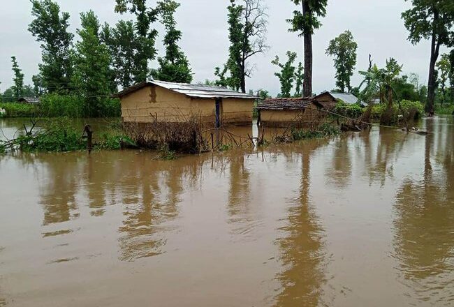 कैलालीमा बाढीले १३८ घर डुबानमा, दुईजना घाइते