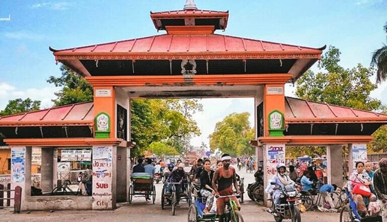 नाकामा तालिमप्राप्त कुकुर परिचालन
