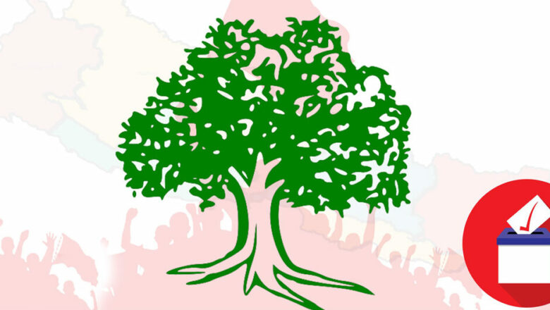 नेपालगञ्जमा कांग्रेसको अग्रता दोब्बर 