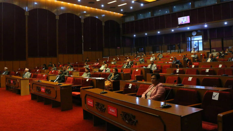 राष्ट्रियसभा बैठक : नीति तथा कार्यक्रमले पेट्रोलियम पदार्थको विकल्प दिनुपर्ने