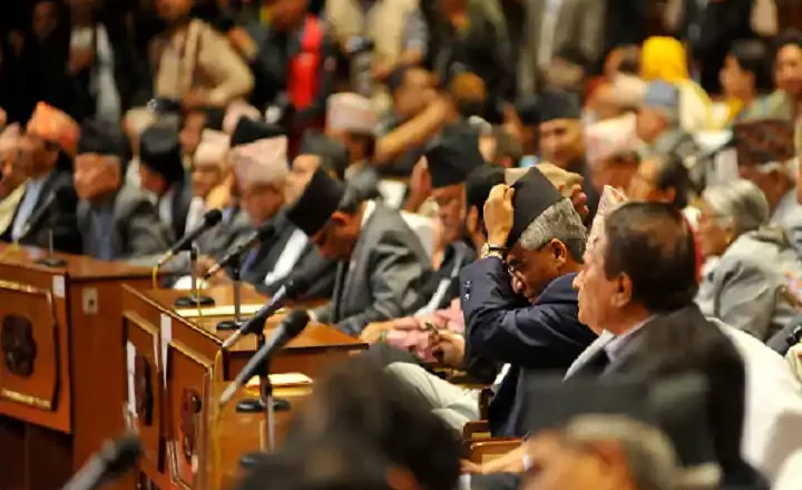 नागरिकता विधेयकमा राजनीति : संसद्ले जस्ताको तस्तै विधेयक पठाए के हुन्छ ?