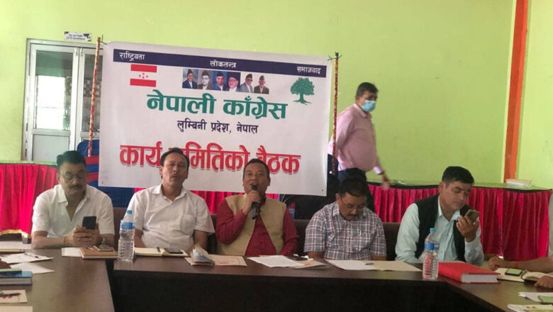 लुम्बिनी प्रदेश कांग्रेसको निर्णय : स्थलगत रिपोर्टिङका लागि ५२ निर्वाचन क्षेत्रमा प्रतिनिधि खटाउने 