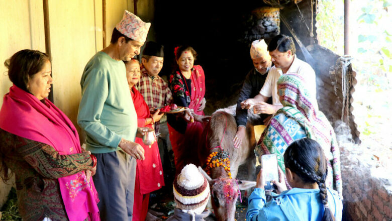 गाईतिहार मनाइँदै