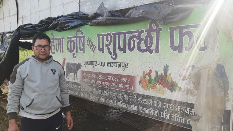 वैदेशिक जागिर छाडेर भैँसीपालन, मासिक ७० हजार आम्दानी