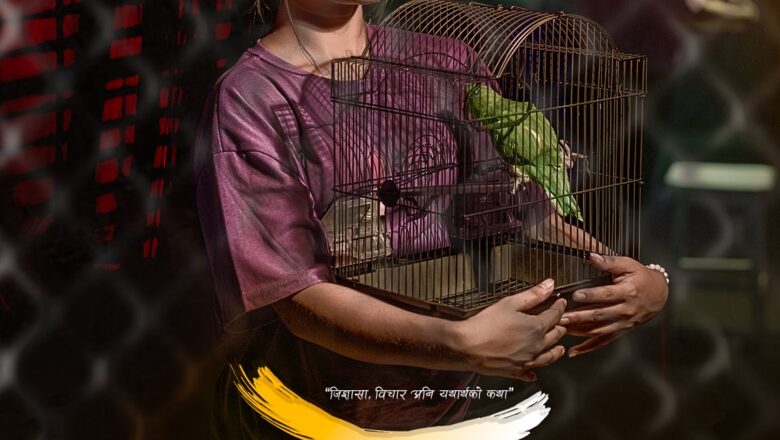 कथासार प्रष्ट्याउने ‘पोस्टर’