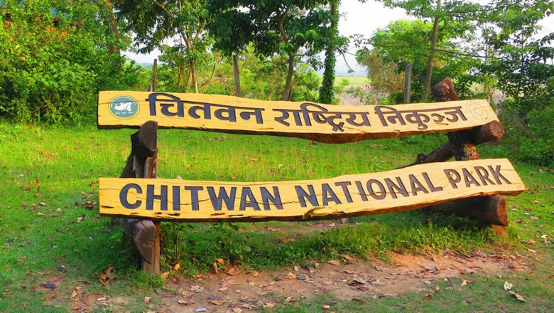 चितवन राष्ट्रिय निकुञ्ज : हालसम्मकै धेरै पर्यटक भित्रिए