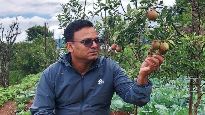 अर्नाकोटमा फल्यो एकै वर्षमा स्याउ