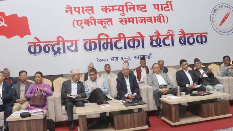 एकीकृत समाजवादी बैठक : केन्द्रीय सदस्यले धारणा राख्न सुरु